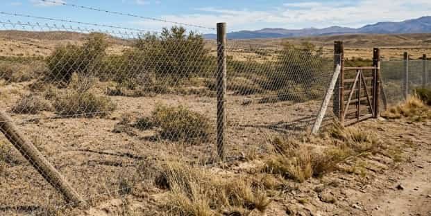 Instalación profesional de cerco perimetral con tejido romboidal galvanizado y postes de hormigón reforzado en una propiedad residencial de Neuquén garantizando seguridad y delimitación de terreno.